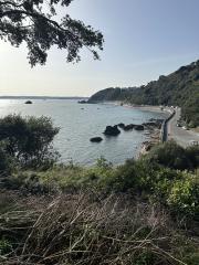 Near Meadfoot Beach